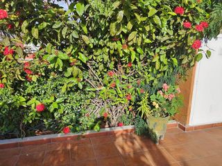 Casa adosada en alquiler en San Agustín - Bahía Feliz - Playa del Águila en San Bartolomé de Tirajana