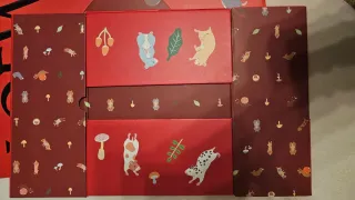 Caja y Bolsa Edición Especial Loewe Suna Fujita