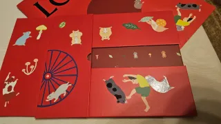 Caja y Bolsa Edición Especial Loewe Suna Fujita