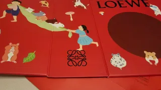 Caja y Bolsa Edición Especial Loewe Suna Fujita