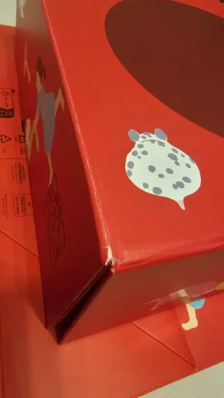 Caja y Bolsa Edición Especial Loewe Suna Fujita