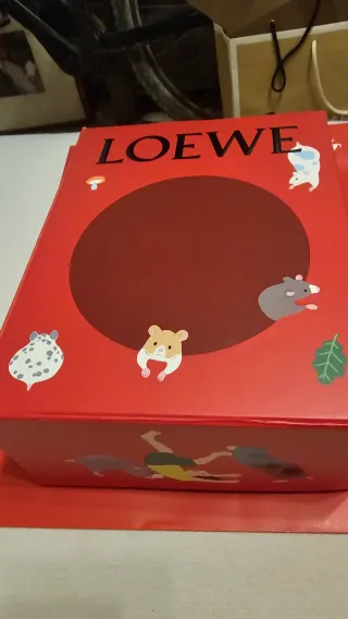 Caja y Bolsa Edición Especial Loewe Suna Fujita