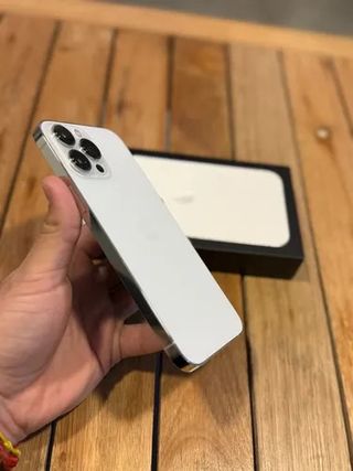 iPhone 13 Pro Max Argento