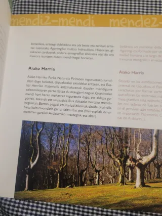 LIBRO Mendiz-Mendi Mendez-Mende : paisajes cultura