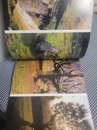 LIBRO Mendiz-Mendi Mendez-Mende : paisajes cultura