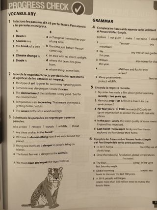 Teamwork 4º ESO - Basic Practice - Catalan - 9789925307821