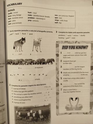 Teamwork 4º ESO - Basic Practice - Catalan - 9789925307821