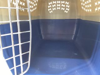 transportin de perros sin marca azul y gris