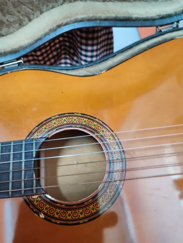 Funda de guitarranegra