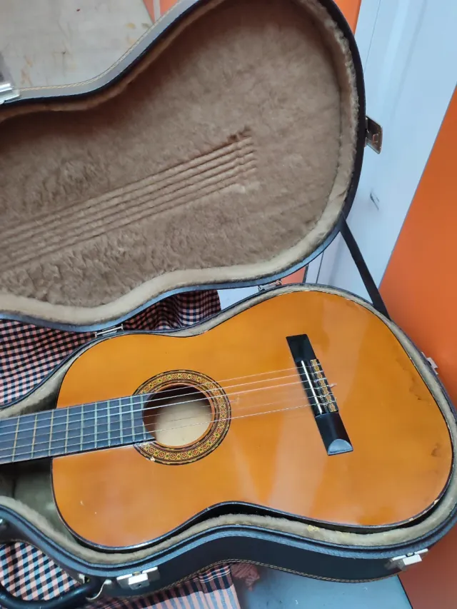 Funda de guitarranegra