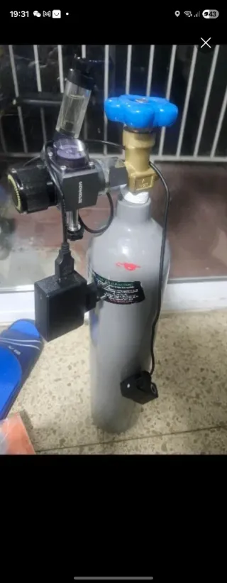 Bombona CO2 + Regulador Acuario