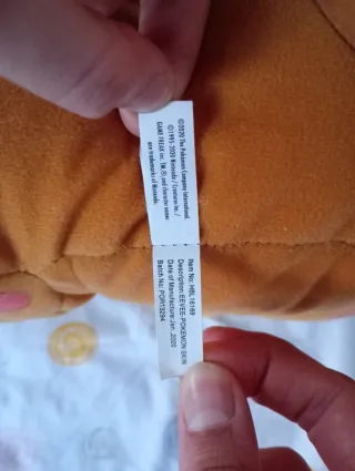 Pokémon peluche gigante / grande do pokémon eevee