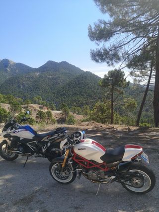 Ducati Monster S4rs Clásica 998 Testastretta