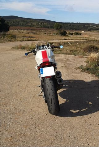 Ducati Monster S4rs Clásica 998 Testastretta
