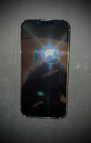 iPhone 13 Pro Argento 256gb