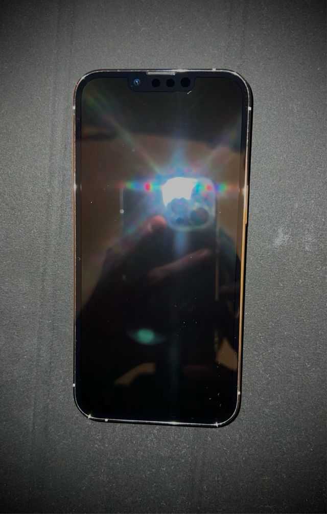 iPhone 13 Pro Argento 256gb