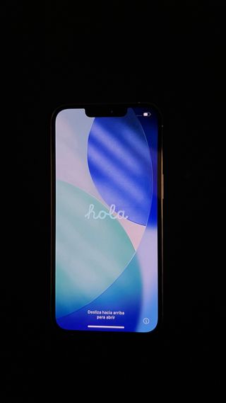 iPhone 13 Pro Argento 256gb