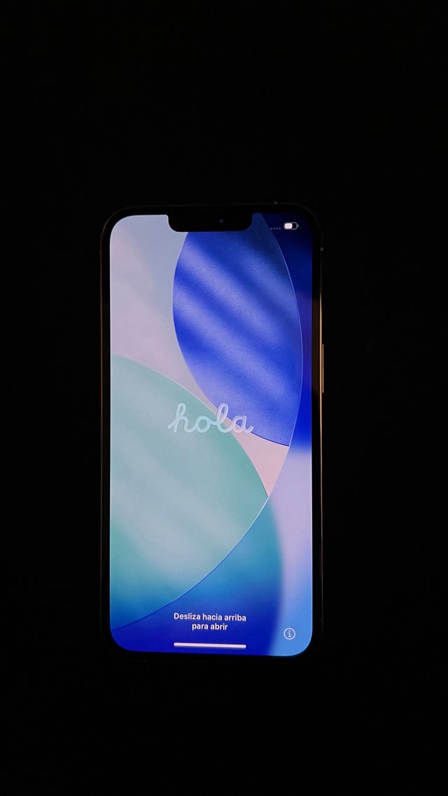 iPhone 13 Pro Argento 256gb