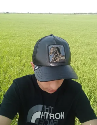 Gorra Stallion Cuero Negra
