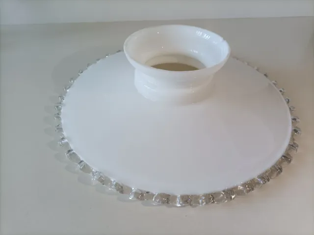 Tulipa opalina grande