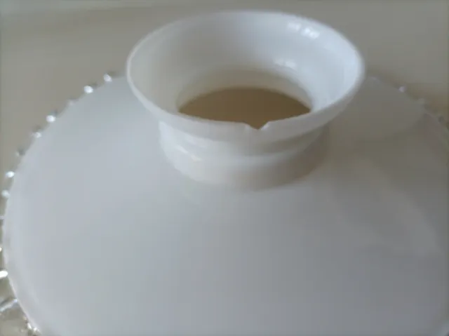 Tulipa opalina grande