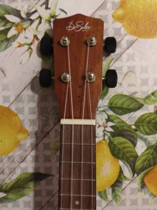 Ukulele in mogano con custodia