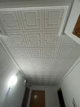 Pintor profesional y económico