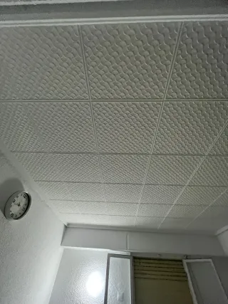 Pintor profesional y económico