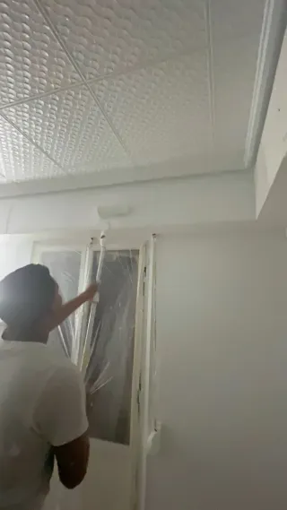 Pintor profesional y económico