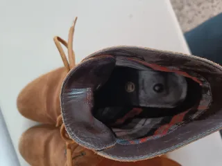 Botines Geox ante camel