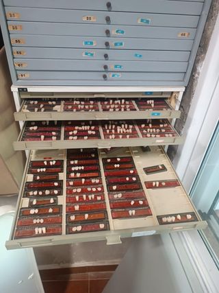 Cajones para dientes (Caoneras 50€/Pequeñas 30€)