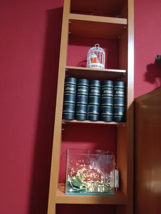 Estantería librería o colecciones