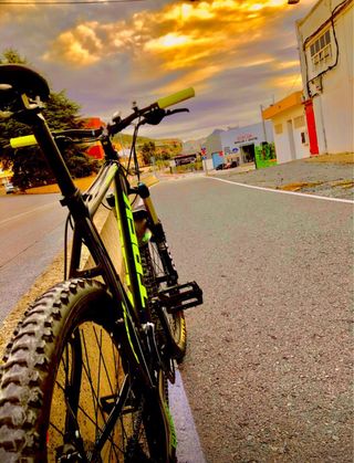 Bicicleta Trek Montaña