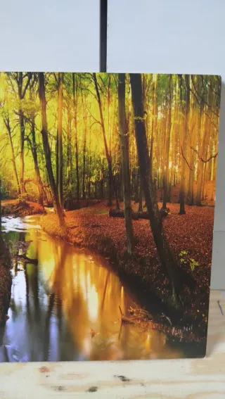 Quadretto Paesaggio Foresta