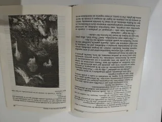 Viaje al centro de la Tierra