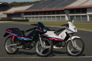 Protección MTR Blanca