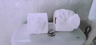 SERVICIO DE LIMPIEZA PROFESIONAL