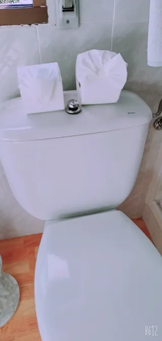 SERVICIO DE LIMPIEZA PROFESIONAL