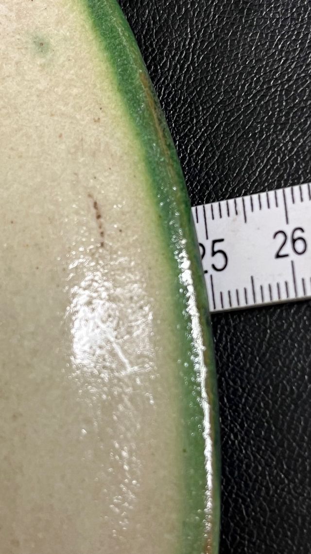 Piastrella decorativa Domingo Punter. Teruel.