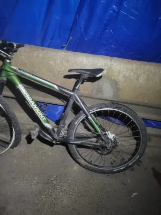 Bicicleta Bergamont Verde