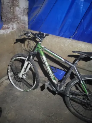 Bicicleta Bergamont Verde