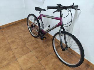 Bicicleta Shimano Frejus Morada