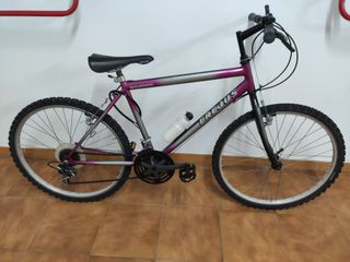 Bicicleta Shimano Frejus Morada