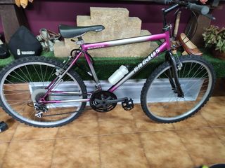 Bicicleta Shimano Frejus Morada