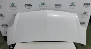 Capó Nissan Interstar