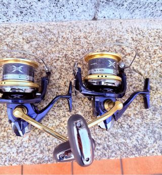 Pareja Carrete Shimano Bulls Eye 9100