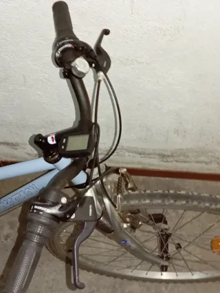 Bicicleta de paseo azul