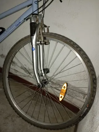 Bicicleta de paseo azul