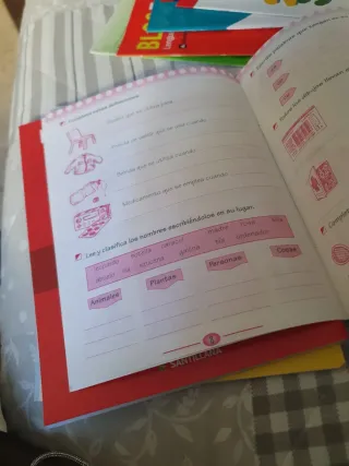 FICHAS COMPRENSION LECTORA 2 PRIMARIA