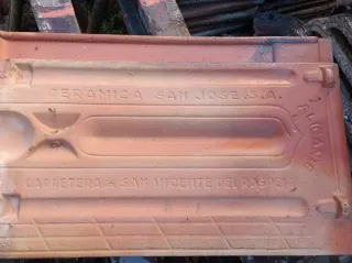 Teja Alicantina San José